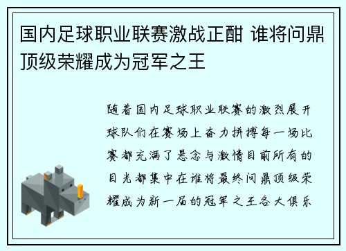 国内足球职业联赛激战正酣 谁将问鼎顶级荣耀成为冠军之王